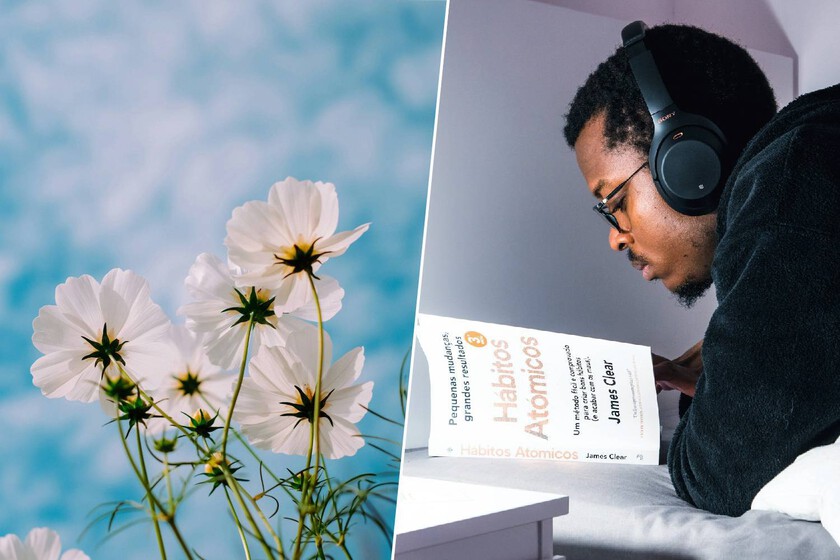 La primavera es el mejor momento para marcar propósitos, según la psicología