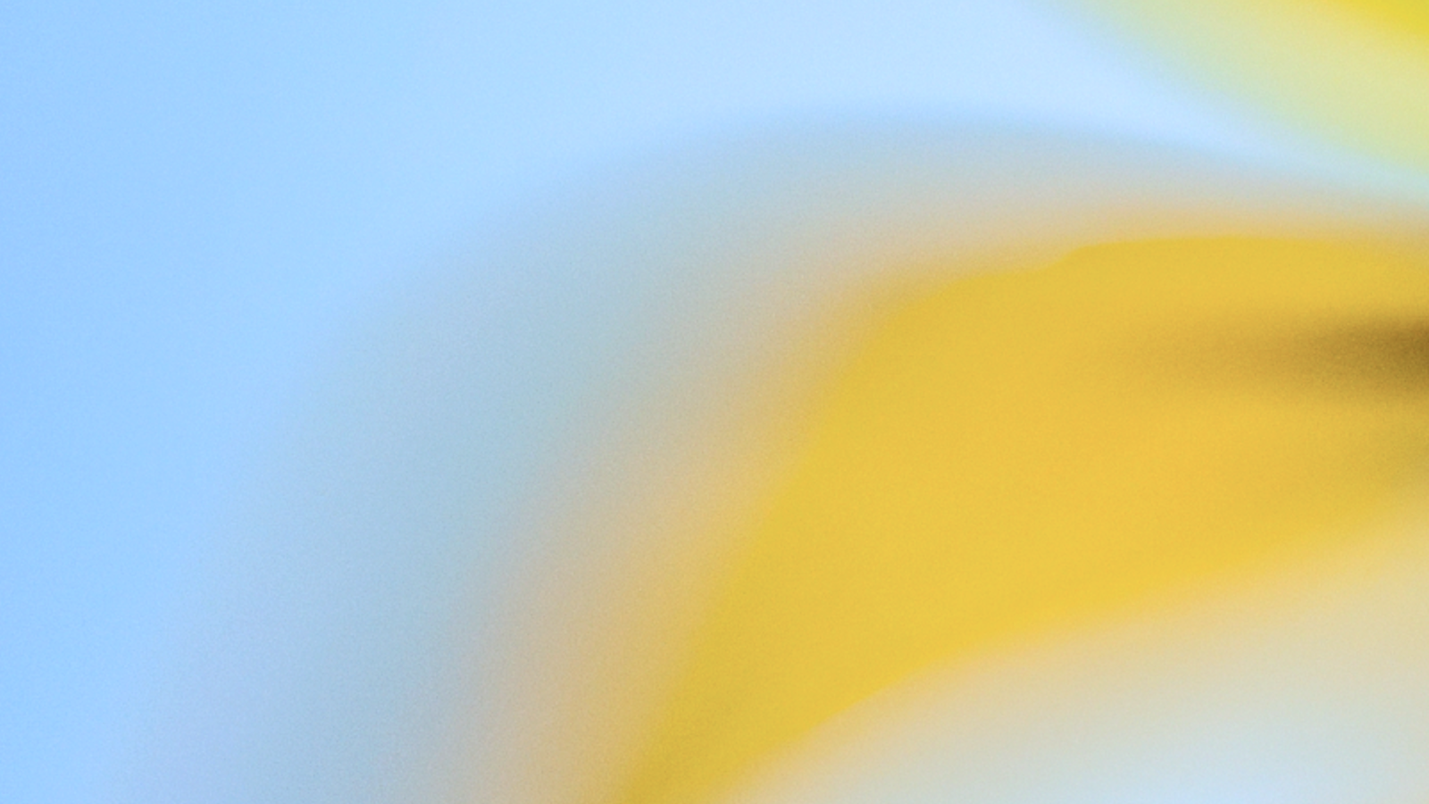 OpenAI rota su certificado macOS tras compromiso de Axios; actualice antes del 8 de mayo