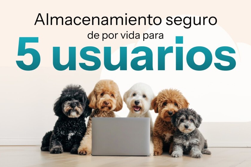 pCloud lanza oferta: hasta 10 TB de por vida compartidos entre cinco personas